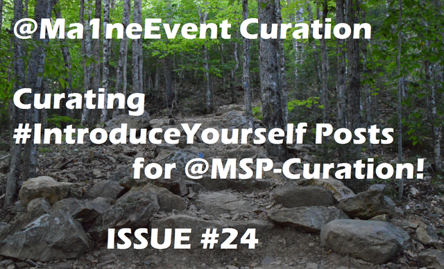issue24.png