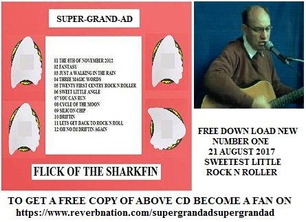 flick of the sharkfin cover AD.JPG