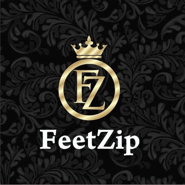 feetzip logo.jpg