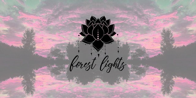 forestlights-cover.jpg