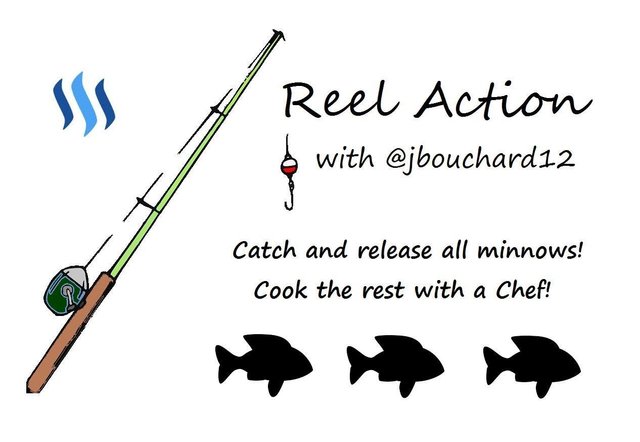 reel action.jpg