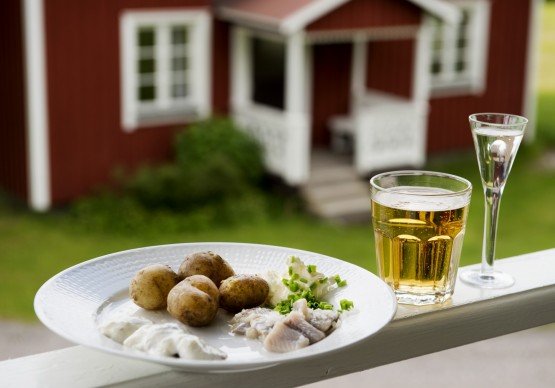 midsommar-ol-sill-555x388.jpg