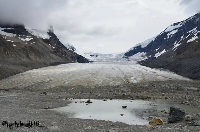 columbia ice fields3.jpg