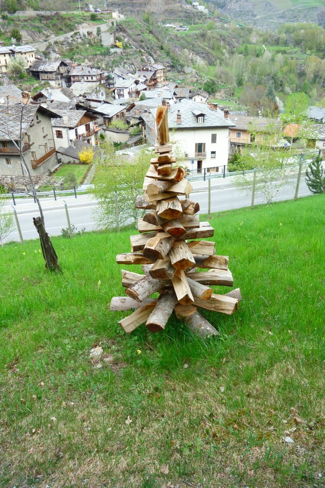 albero.JPG