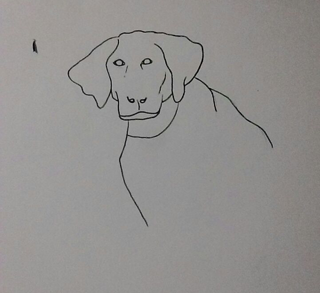 black lab face outline