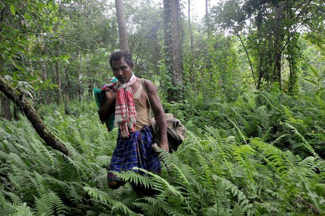 jadav-payeng.jpeg