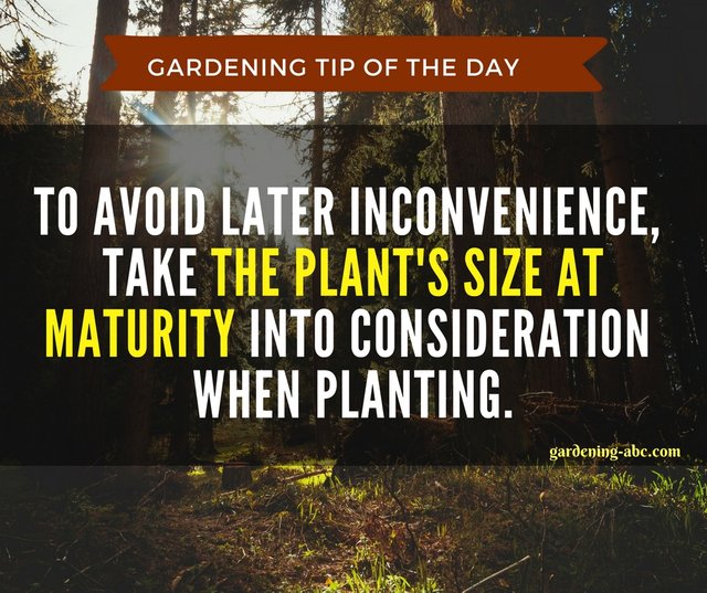 gardening tips 8.jpg