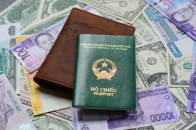 green passport.jpg