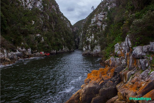 Titsikamma-National-park.jpg