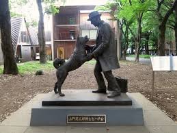 hachiko2.jpg