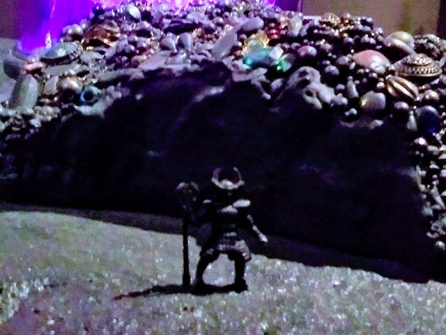 IMG_20171125_165047355.jpg