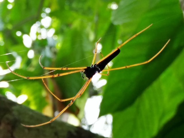 IMG20180304105119.jpg