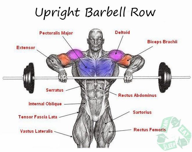 Upright-Barbell-Row.jpg
