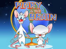 pinky and the brain.jpg