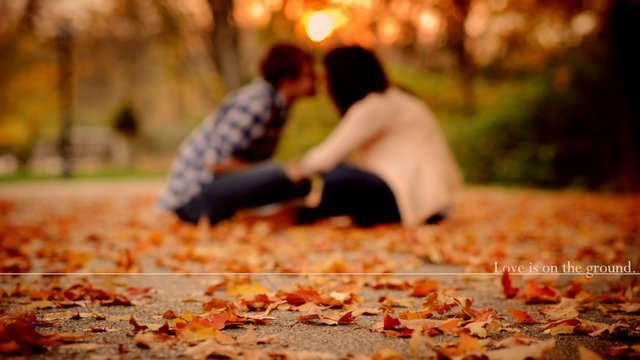 ws_Autumn_love_1920x1080.jpg