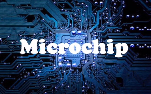 microchip.jpeg