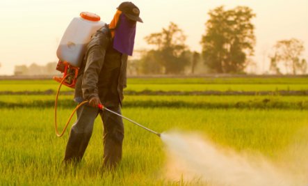 pesticides.jpg