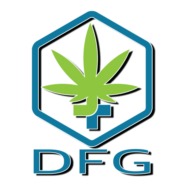 large_dfg_logo.png