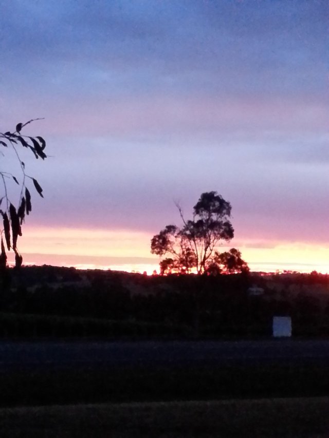 2015-01-08 010.jpg