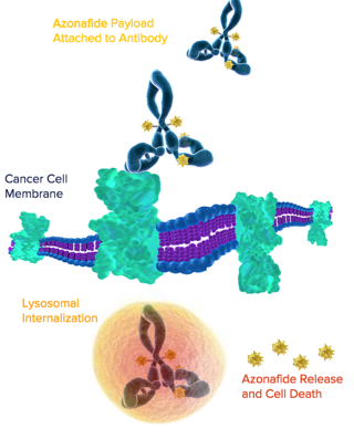 oncolinx_mechanism_of_action_2016.png