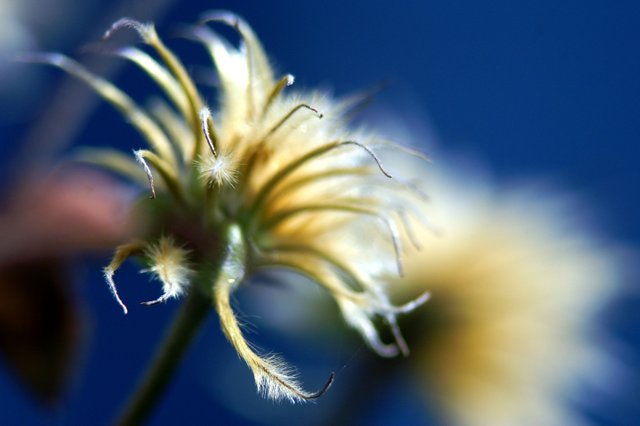 PICT2053.JPG
