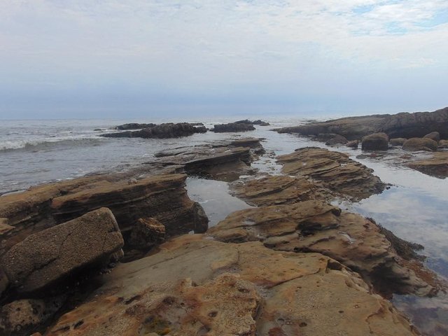 Tide Pools.jpg