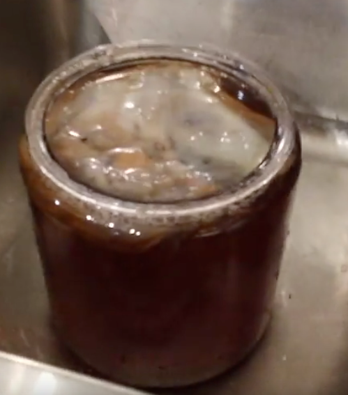 Jar of brewing Kombucha