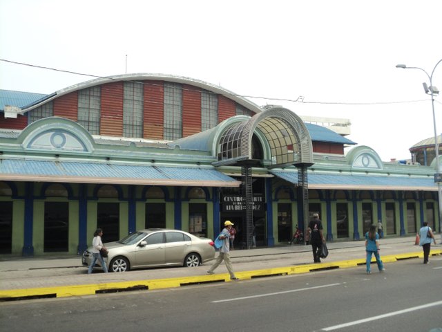 steemit paseo ciencias malecon 073.JPG