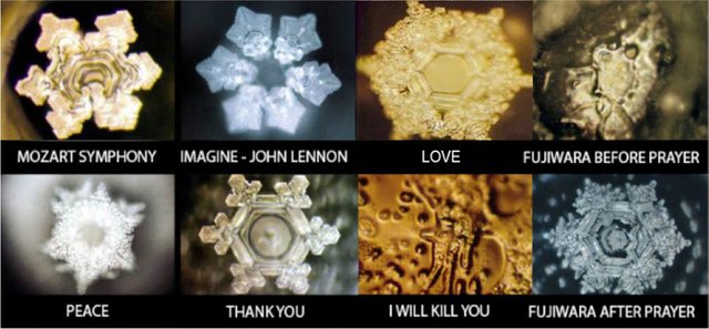 Masaru-Emoto.jpg