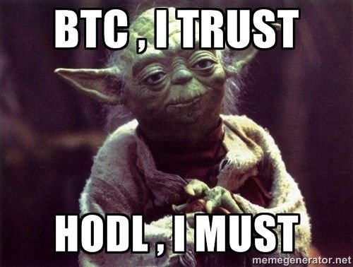 hodl yoda.jpg