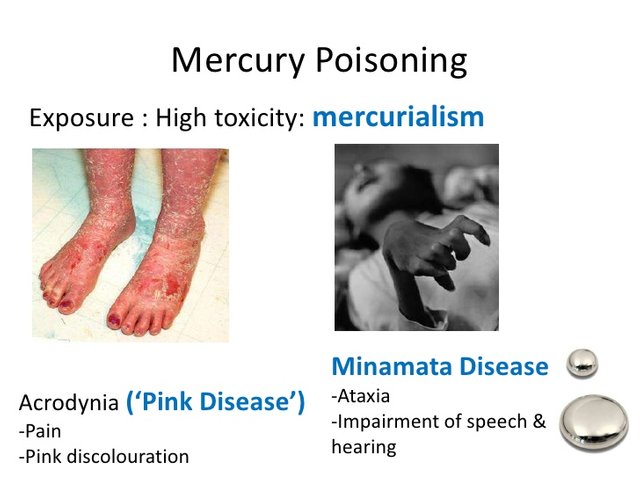 mechanisms-of-bacterial-resistance-against-mercury-toxicity-9-728.jpg