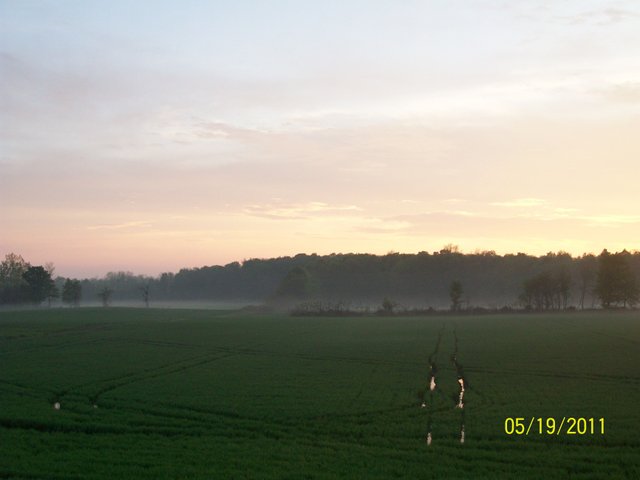 Farm_summer20110519_350.JPG