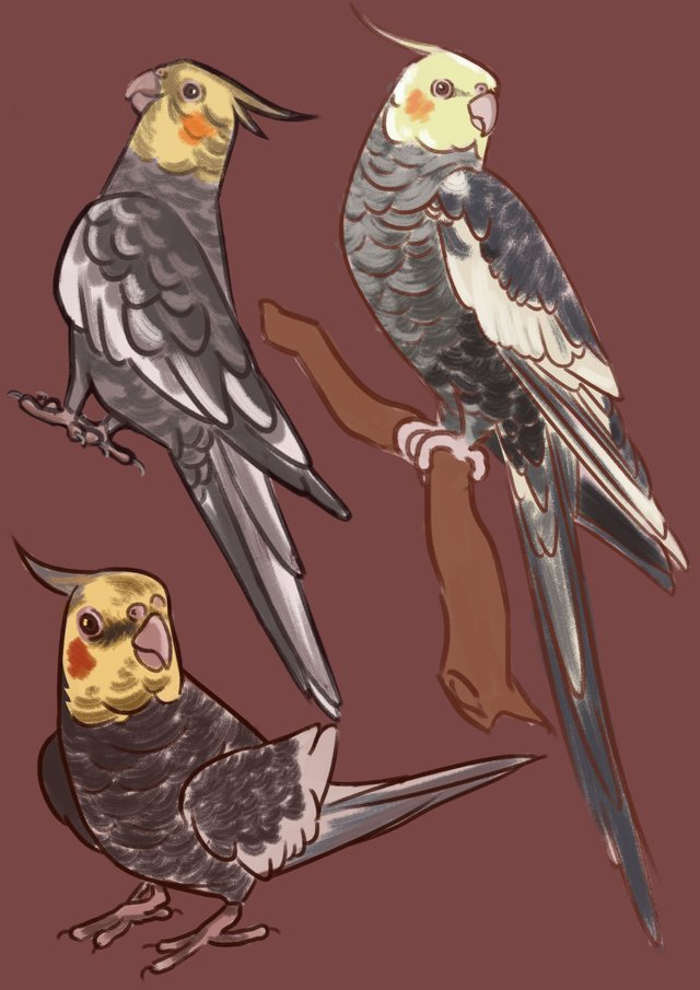 dragon bird.jpg