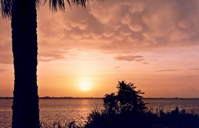 Mammatus_cloud,_Florida_Indian_River_sunset.jpg