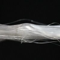 Synthetic Spider Silk.jpg