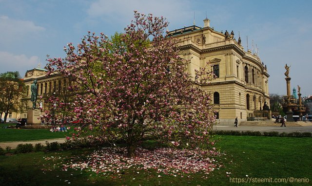 prague-opera.jpg