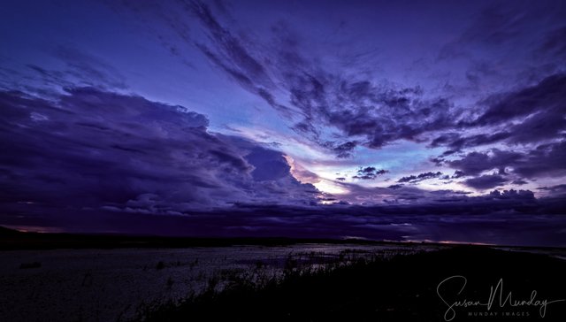 Floodplain Panorama1.jpg