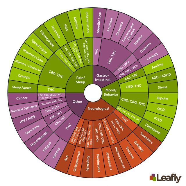 CRqvGHvVRejee20hG20h_Cannabinoids-Infographic-English.jpg