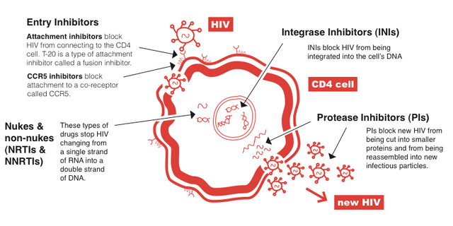 HIV-medicines-in-the-antiretroviral-therapy.png