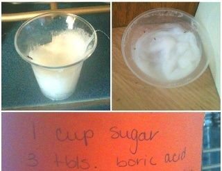 boric acid and sugar.jpg