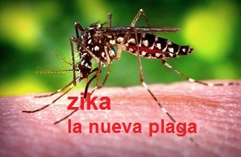 zika la nueva plaga.jpg