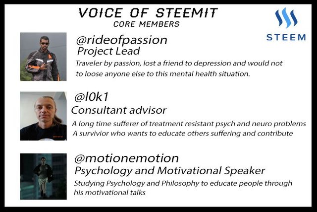 Voice of Steemit.jpg