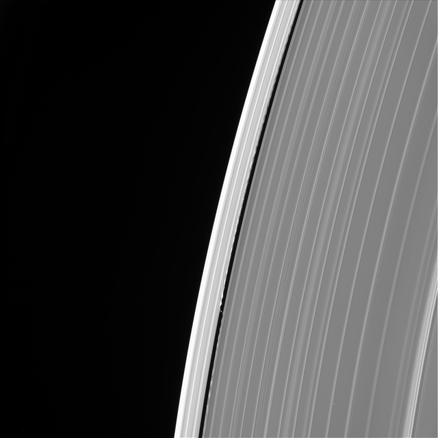 7790_PIA21893_Daphnis.png