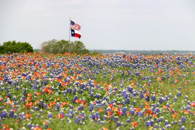 girlinchief-fun-things-to-do-in-texas-this-spring.jpg