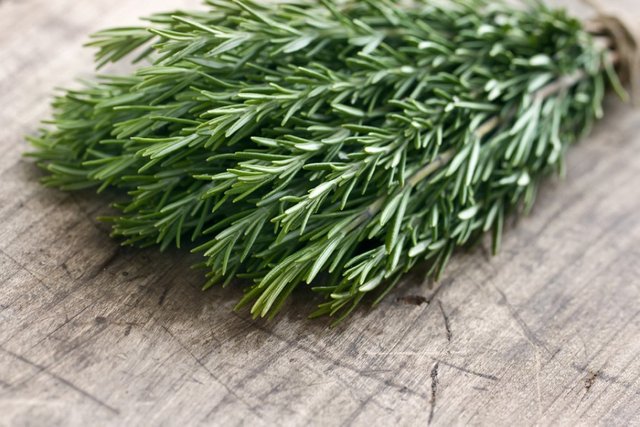 bigstock-Green-Fresh-Rosemary-Herbs-48887360-840x560.jpg