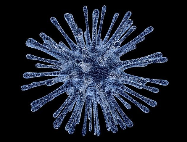 virus-infected-cells-213708__480-1.jpg