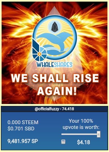 Whaleshares-Rises-Again.jpg