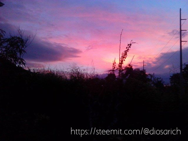 purple sky diosarich.jpg