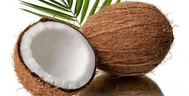 Coconut.jpg