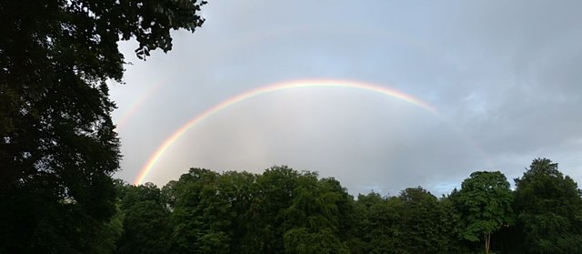20170724_202940836.jpg